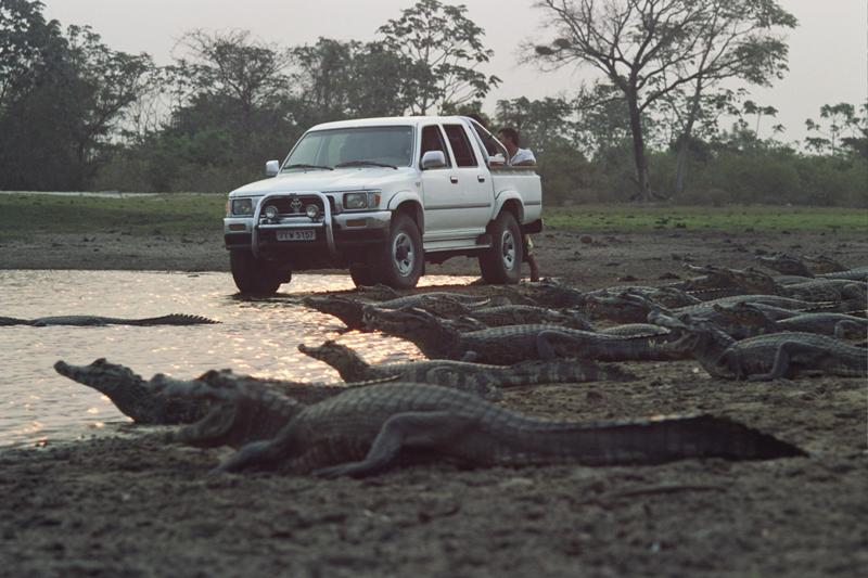 Safari 4x4 no Pantanal de Paiaguas, Coxim-MS (Foto: Jefferson Ravedutti/Divulgação)