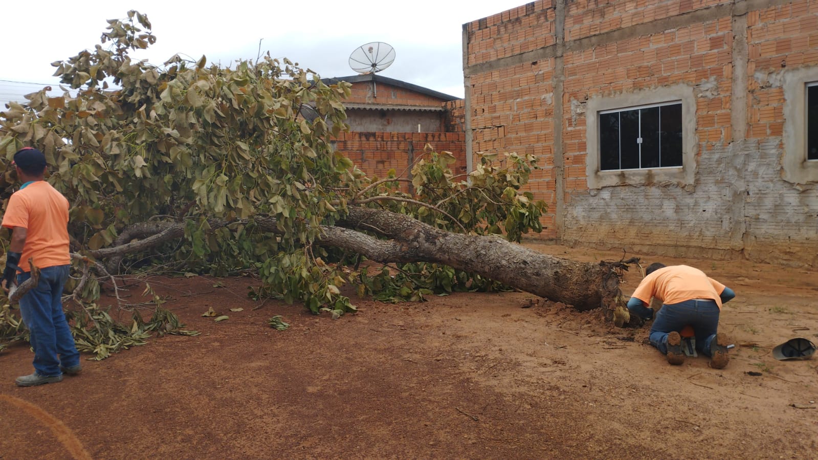 Prefeitura de Coxim atua na retirada de árvores e galhos após ventos fortes