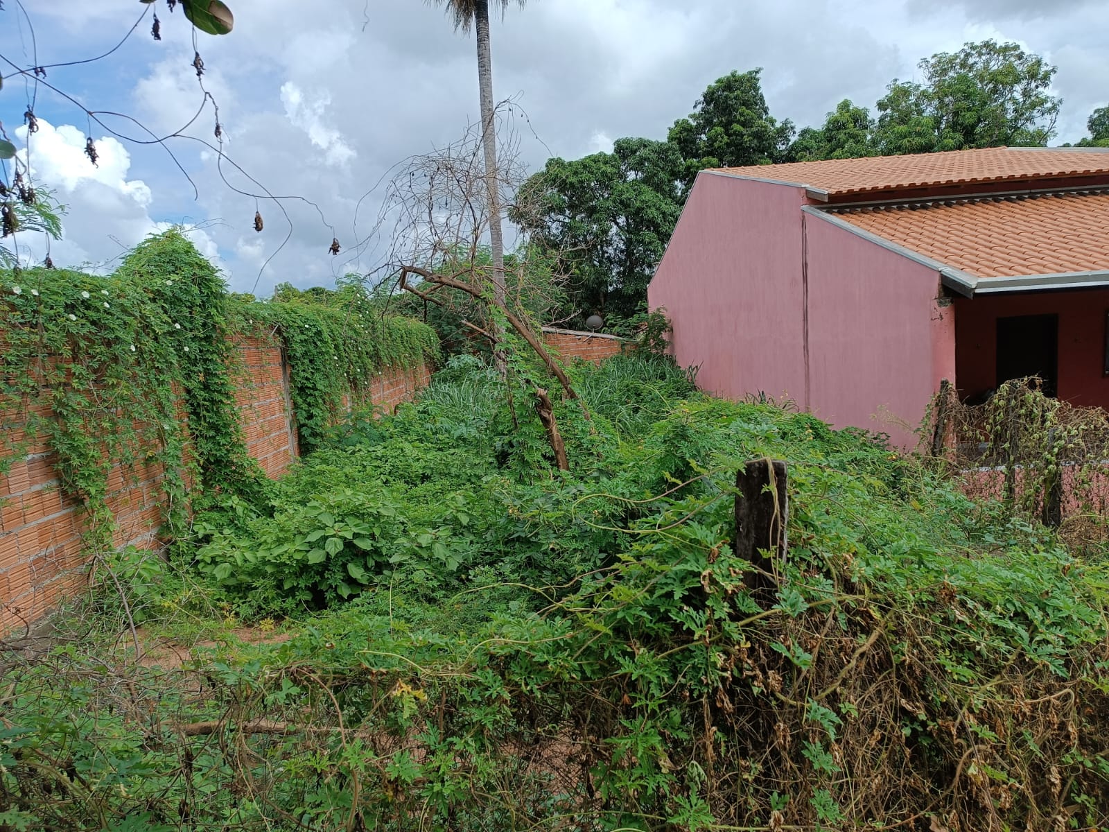 Foto: Reprodução/Prefeitura de Coxim - MS